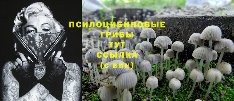 Галлюциногенные грибы MAGIC MUSHROOMS  Нефтекамск 